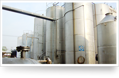 Our Products